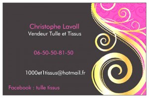 Partenaires de Caro Broderie : Christophe Lavall. 1000 et 1 tissus. LOYETTES 01360